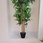 Tatil Evi De La Rouge Roye *