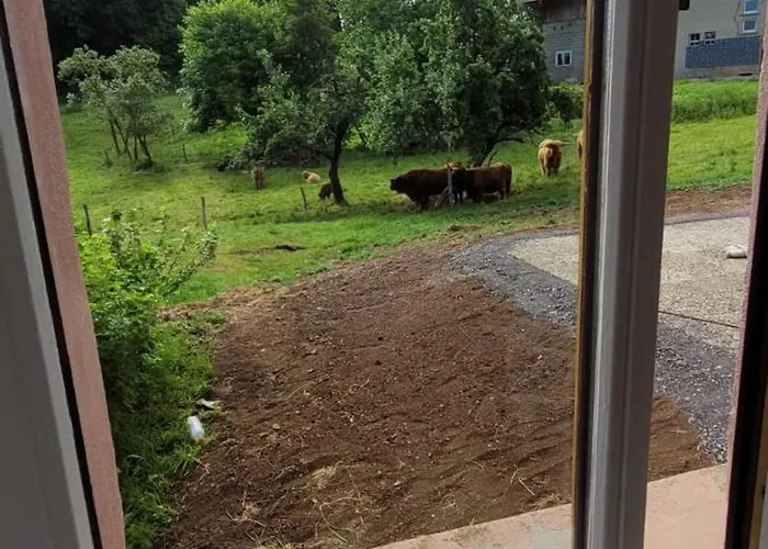 De La Rouge Roye Сasa de vacaciones *