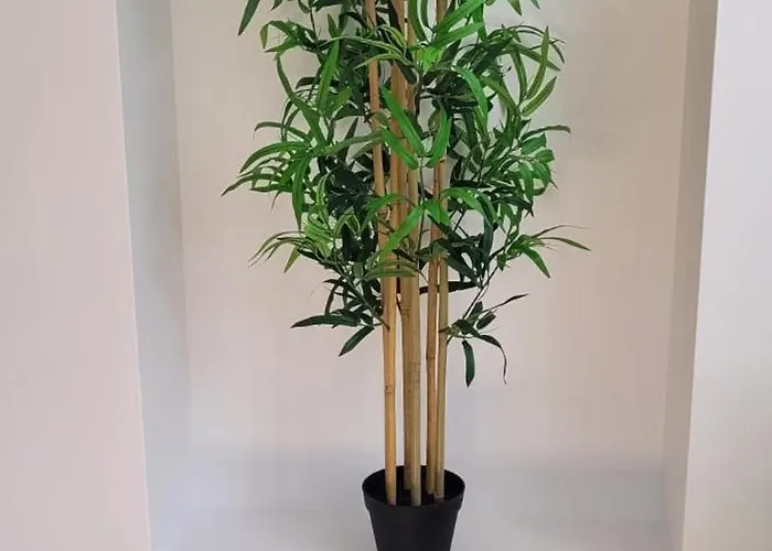 펜션 De La Rouge Roye *